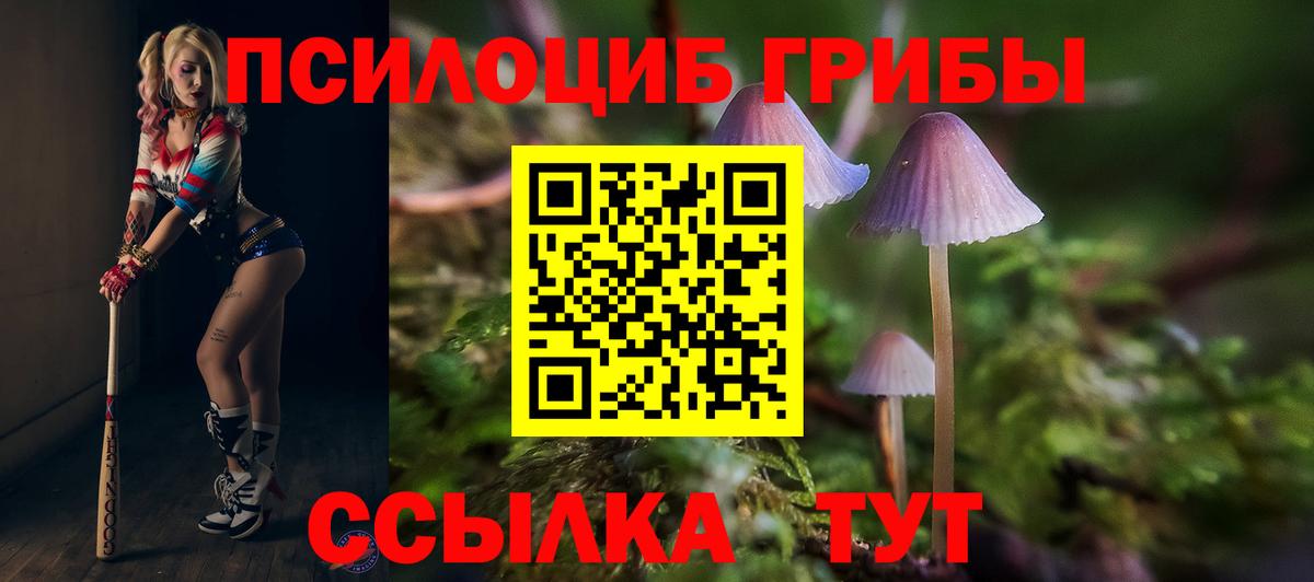 Севастополь  Псилоцибиновые грибы прущие грибы  Вход с VPN 