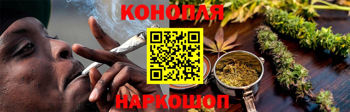 Конопля планчик  Марихуана семена  Бошки Шишки VHQ  Марихуана сатива  Севастополь  Вход с VPN 
